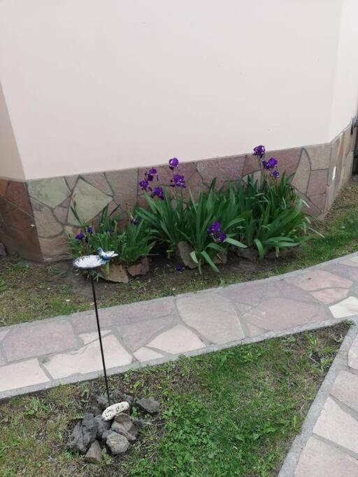 Madre Roca Apartamento El Chaltén Exterior foto